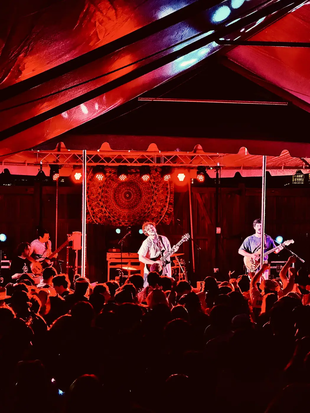 Show photo, March 2025